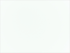 Residential Landscaping Compliance Letter Template Florida